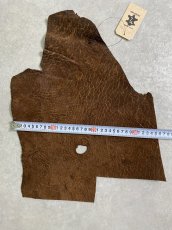 画像7: ヒポポタマス　カバ革　ブラウン　ヒポレザー　かば革 (7)