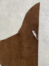 画像2: ヒポポタマス　カバ革　ブラウン　ヒポレザー　かば革 (2)