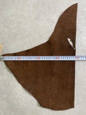 画像7: ヒポポタマス　カバ革　ブラウン　ヒポレザー　かば革 (7)