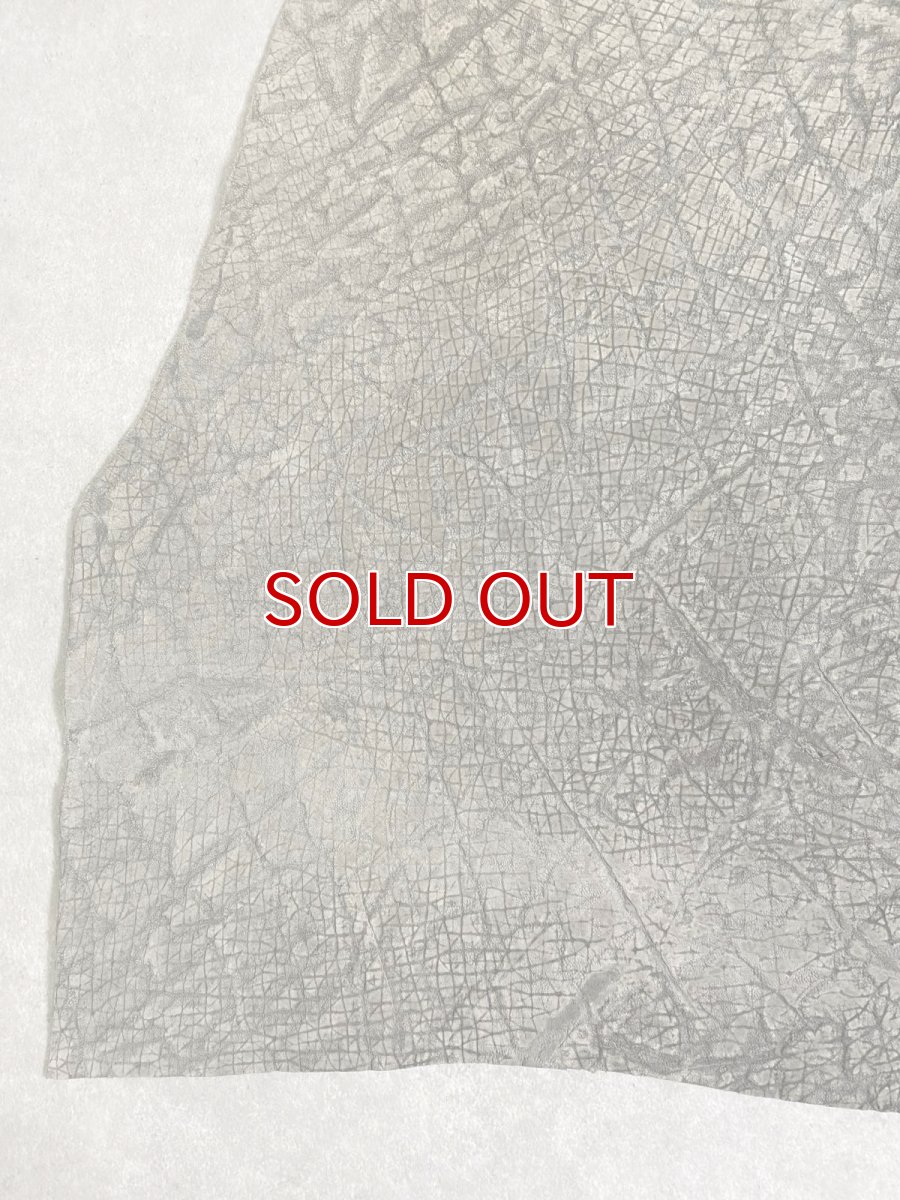 画像3: ヒポポタマス　カバ革　エンボス　グレー  ヒポレザー　かば革　型押し　 (3)