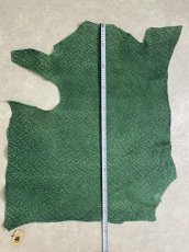 画像10: ヒポポタマス　カバ革　エンボス　グリーン　ヒポレザー　かば革 (10)