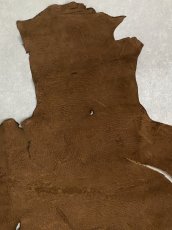 画像4: ヒポポタマス　カバ革　ブラウン　ヒポレザー　かば革 (4)