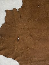画像5: ヒポポタマス　カバ革　ブラウン　ヒポレザー　かば革 (5)