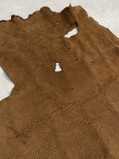 画像5: ヒポポタマス　カバ革　ブラウン　ヒポレザー　かば革 (5)