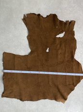 画像10: ヒポポタマス　カバ革　ブラウン　ヒポレザー　かば革 (10)