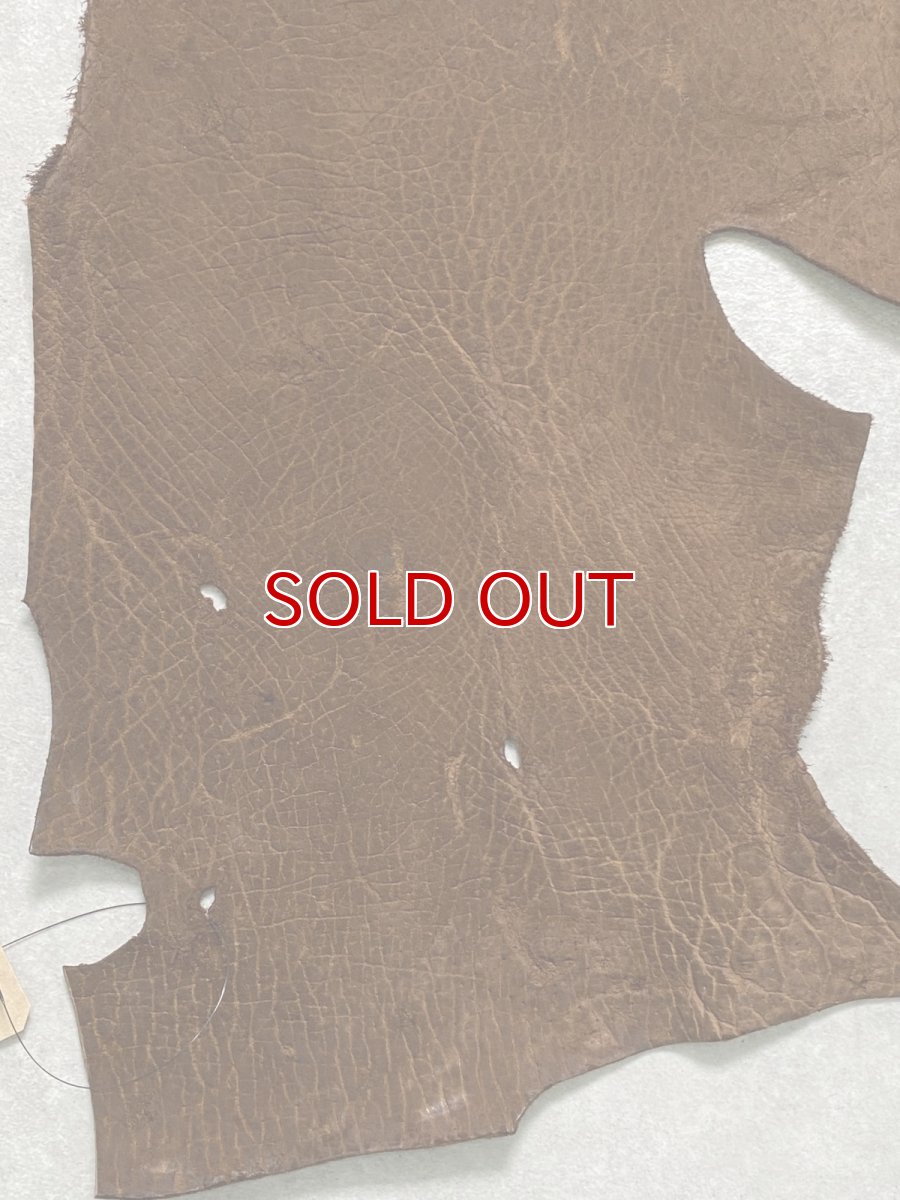 画像4: ヒポポタマス　カバ革　ブラウン　ヒポレザー　かば革 (4)