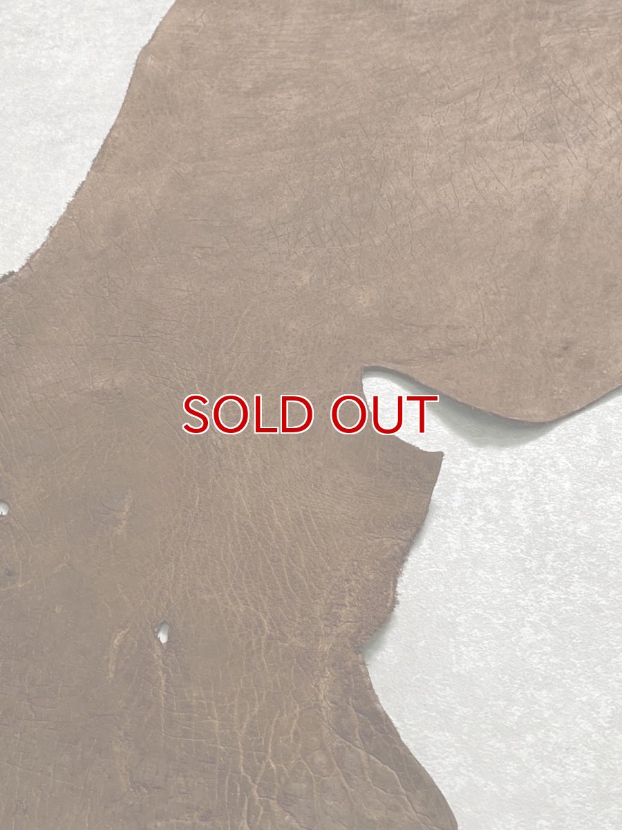 画像7: ヒポポタマス　カバ革　ブラウン　ヒポレザー　かば革 (7)