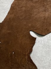 画像7: ヒポポタマス　カバ革　ブラウン　ヒポレザー　かば革 (7)