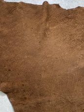 画像3: ヒポポタマス　カバ革　ブラウン　ヒポレザー　かば革 (3)