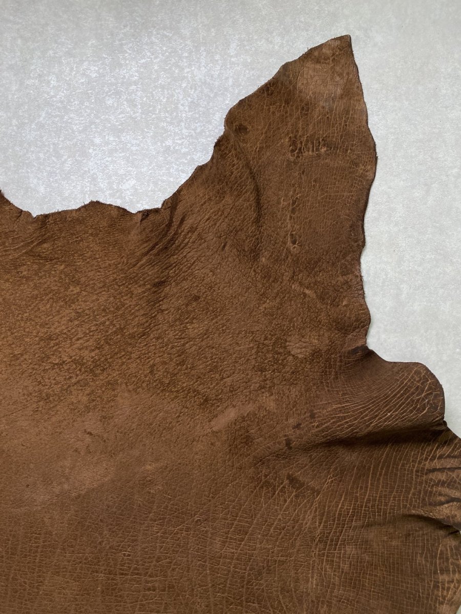 画像4: ヒポポタマス　カバ革　ブラウン　ヒポレザー　かば革 (4)