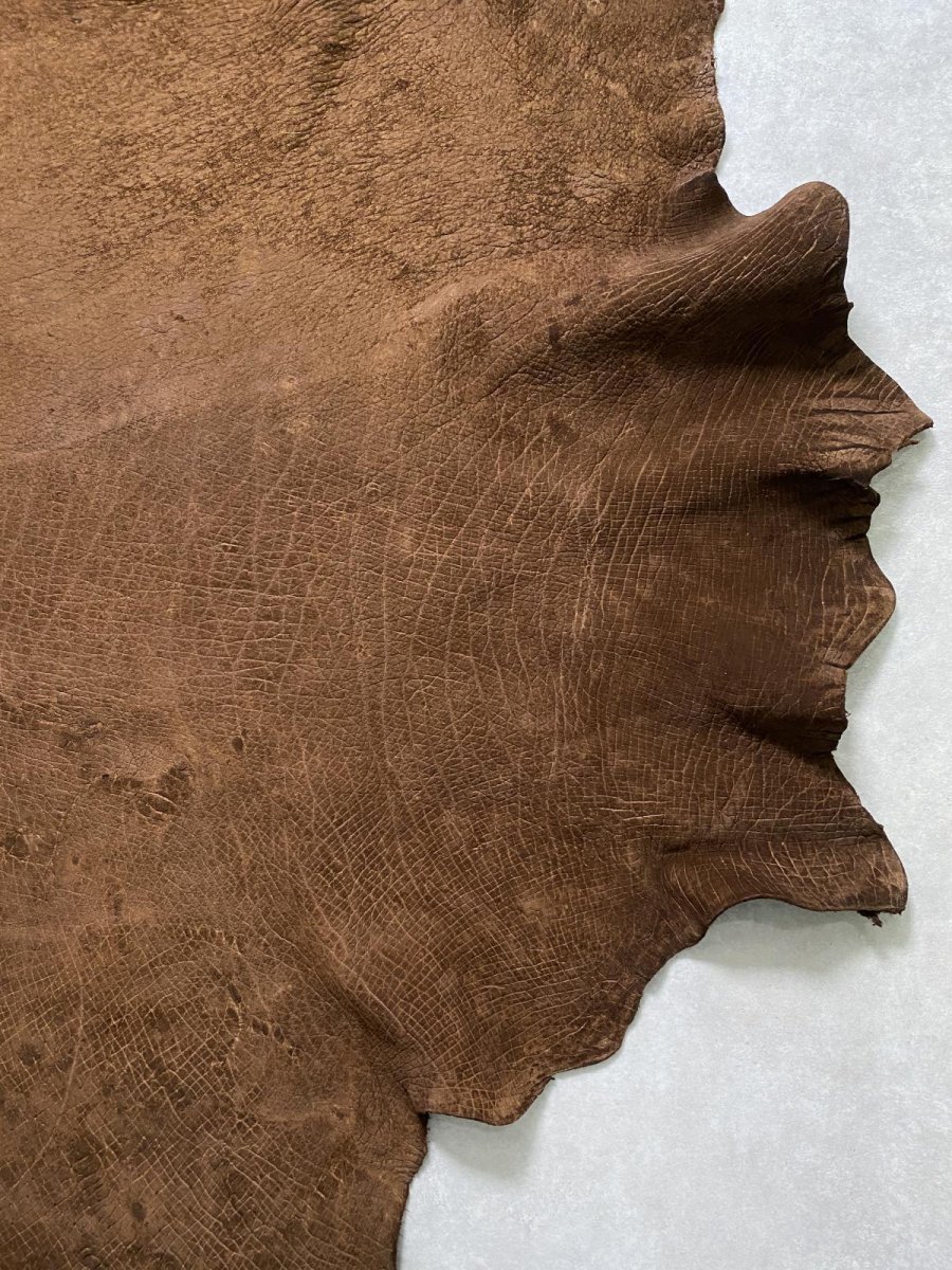 画像8: ヒポポタマス　カバ革　ブラウン　ヒポレザー　かば革 (8)