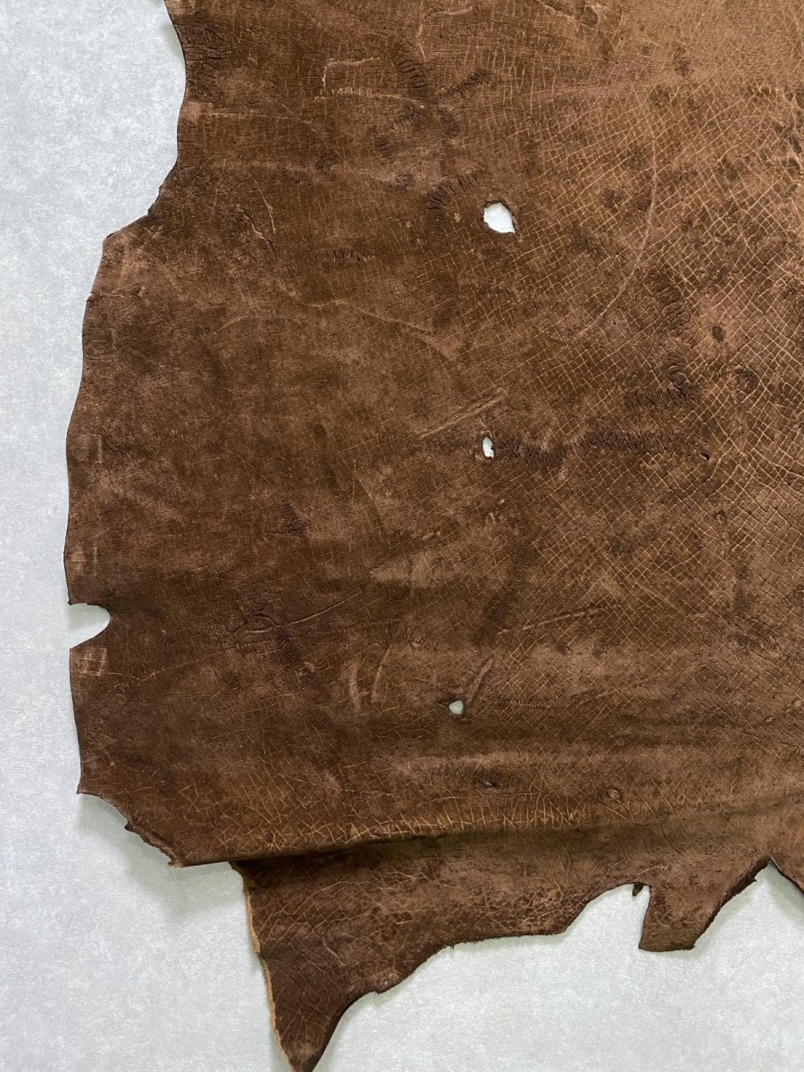 画像6: ヒポポタマス　カバ革　ブラウン　ヒポレザー　かば革 (6)