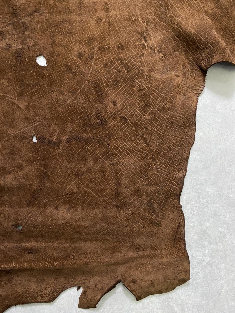 画像7: ヒポポタマス　カバ革　ブラウン　ヒポレザー　かば革 (7)
