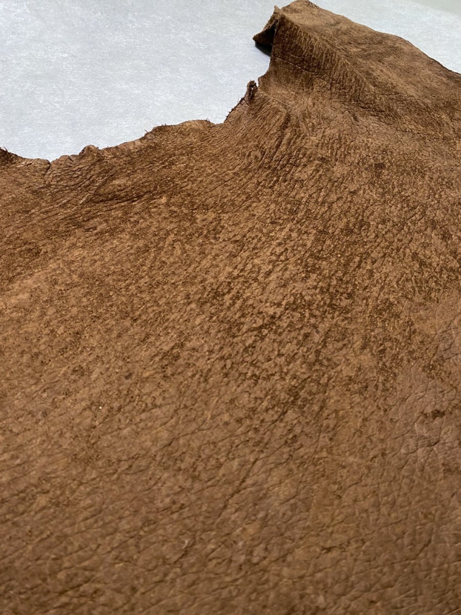 画像9: ヒポポタマス　カバ革　ブラウン　ヒポレザー　かば革 (9)