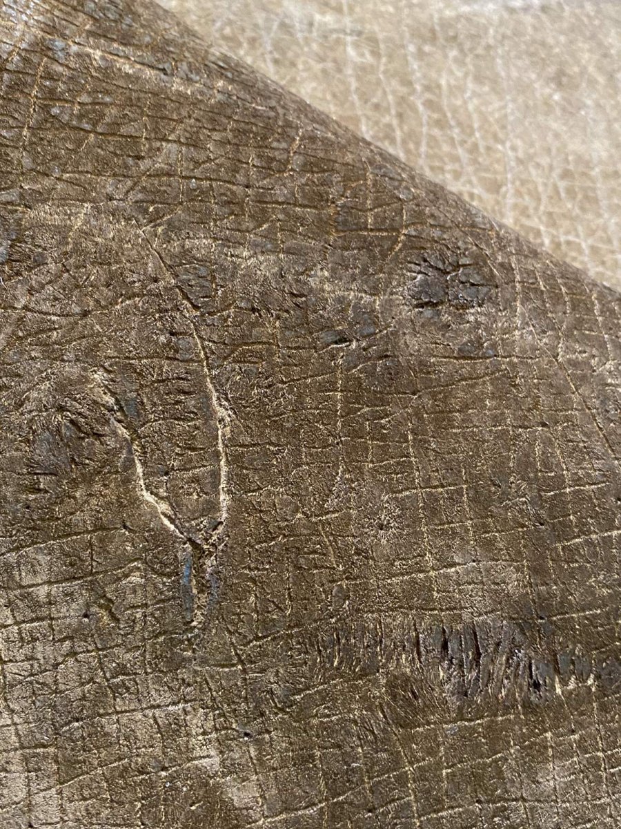 画像10: ヒポポタマス　カバ革　ブラウン　ヒポレザー　かば革 (10)