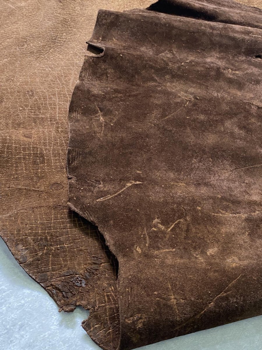 画像11: ヒポポタマス　カバ革　ブラウン　ヒポレザー　かば革 (11)