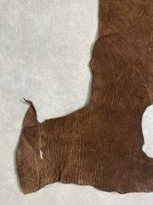 画像4: ヒポポタマス　カバ革　ブラウン　ヒポレザー　かば革 (4)