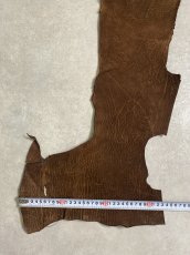 画像5: ヒポポタマス　カバ革　ブラウン　ヒポレザー　かば革 (5)