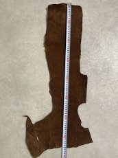画像7: ヒポポタマス　カバ革　ブラウン　ヒポレザー　かば革 (7)