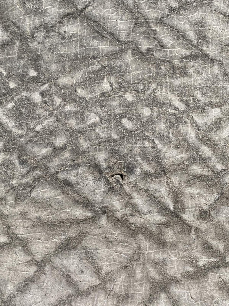 画像7: ヒポポタマス　カバ革　エンボス　グレー  ヒポレザー　かば革　型押し　 (7)