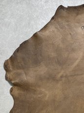 画像2: クードゥー　スタンダード　ウォッシュ　KUDU　クーズー (2)