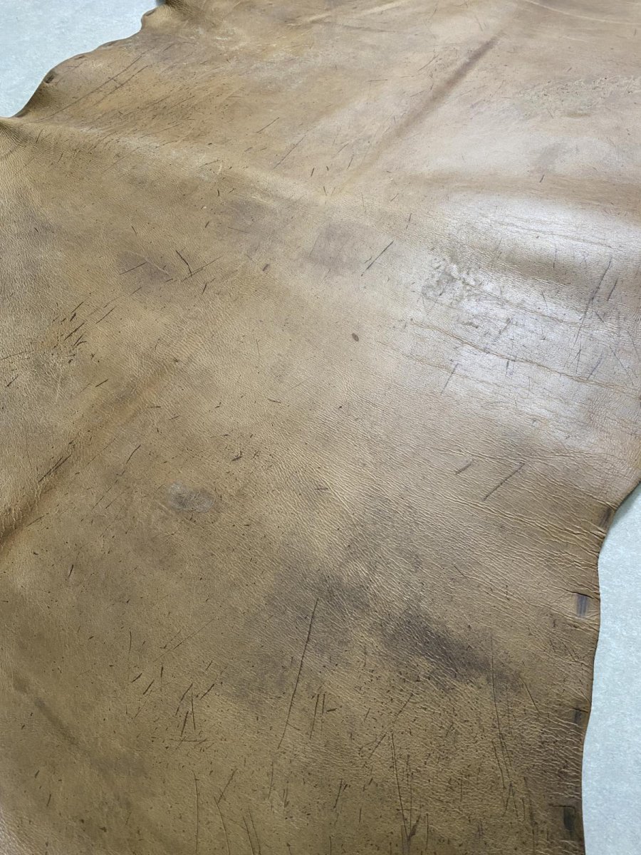 画像6: クードゥー　スタンダード　ウォッシュ　KUDU　クーズー (6)