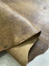 画像9: クードゥー　スタンダード　ウォッシュ　KUDU　クーズー (9)