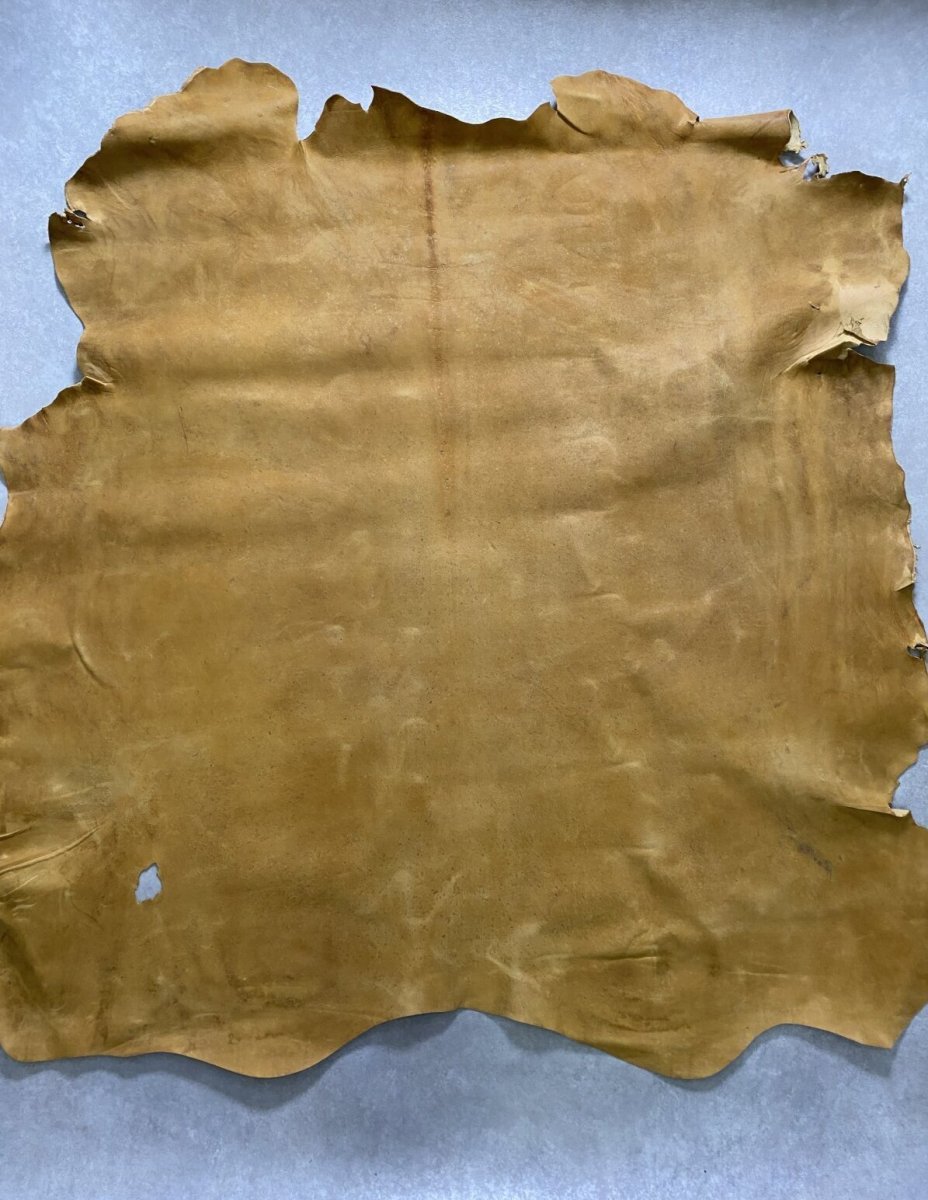 画像1: クードゥー　イエロー　クーズー　KUDU (1)