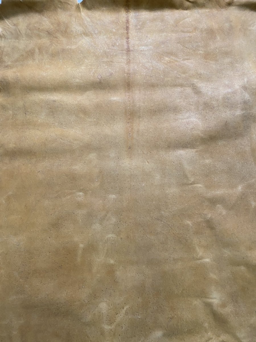 画像2: クードゥー　イエロー　クーズー　KUDU (2)