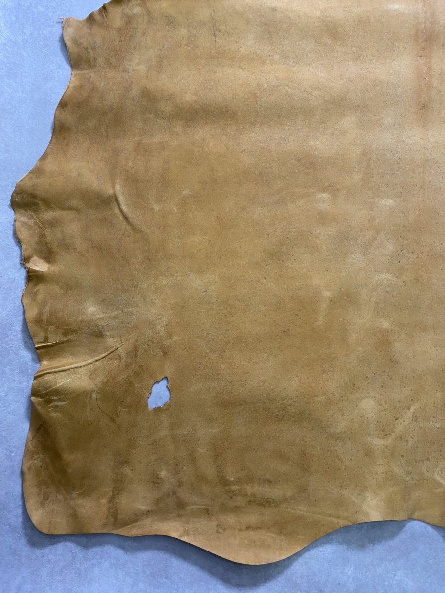 画像5: クードゥー　イエロー　クーズー　KUDU (5)