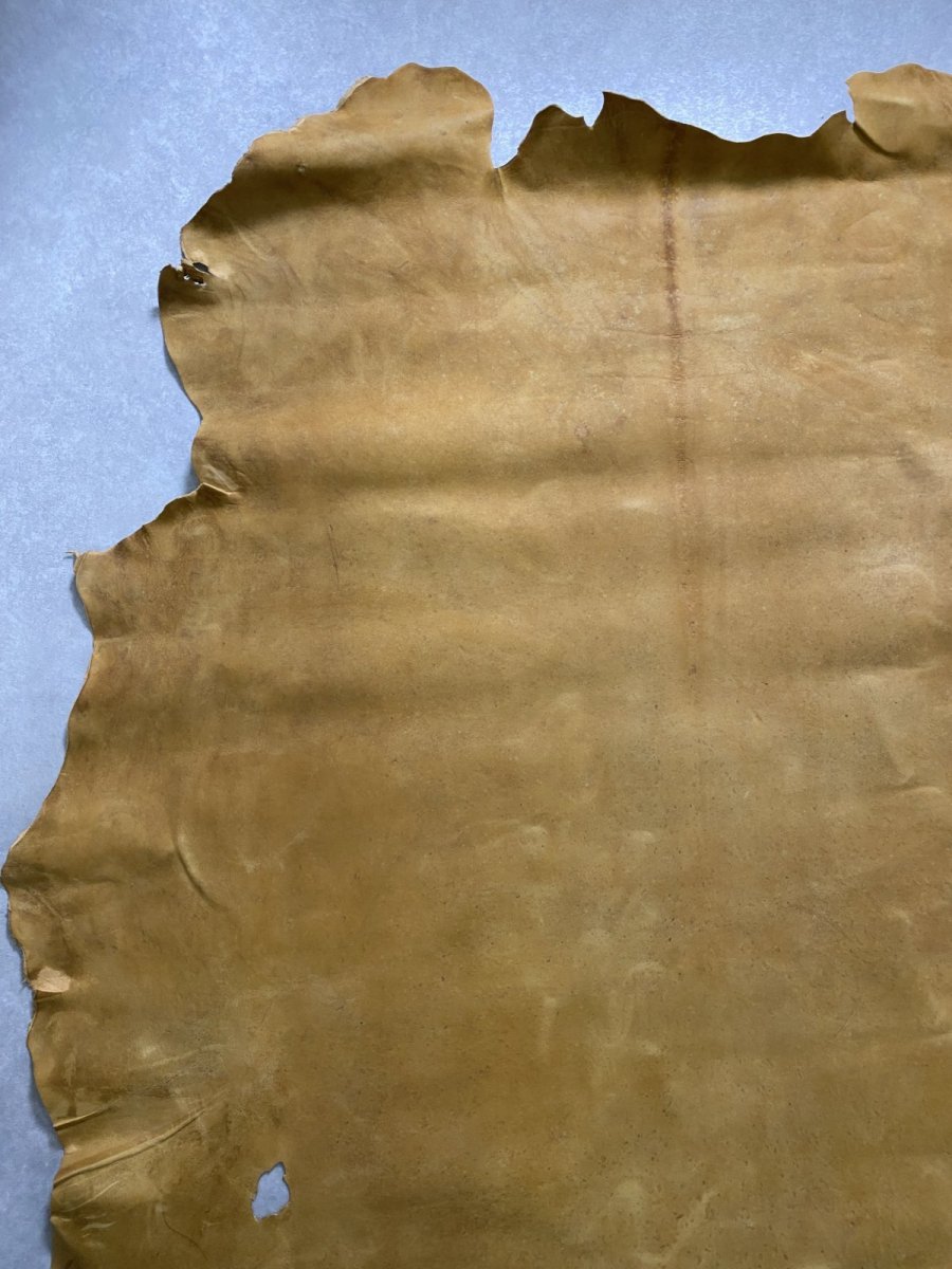 画像3: クードゥー　イエロー　クーズー　KUDU (3)