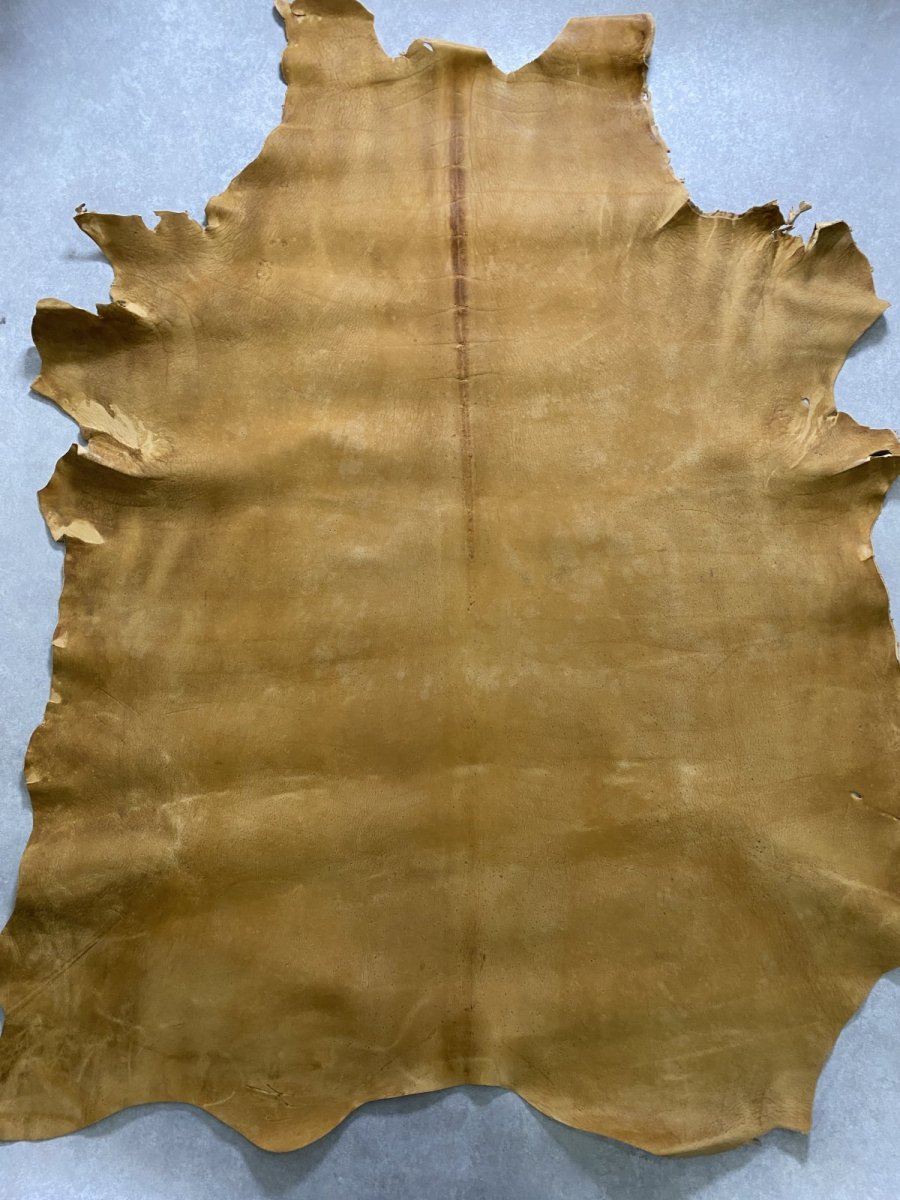 画像1: クードゥー　イエロー　クーズー　KUDU (1)