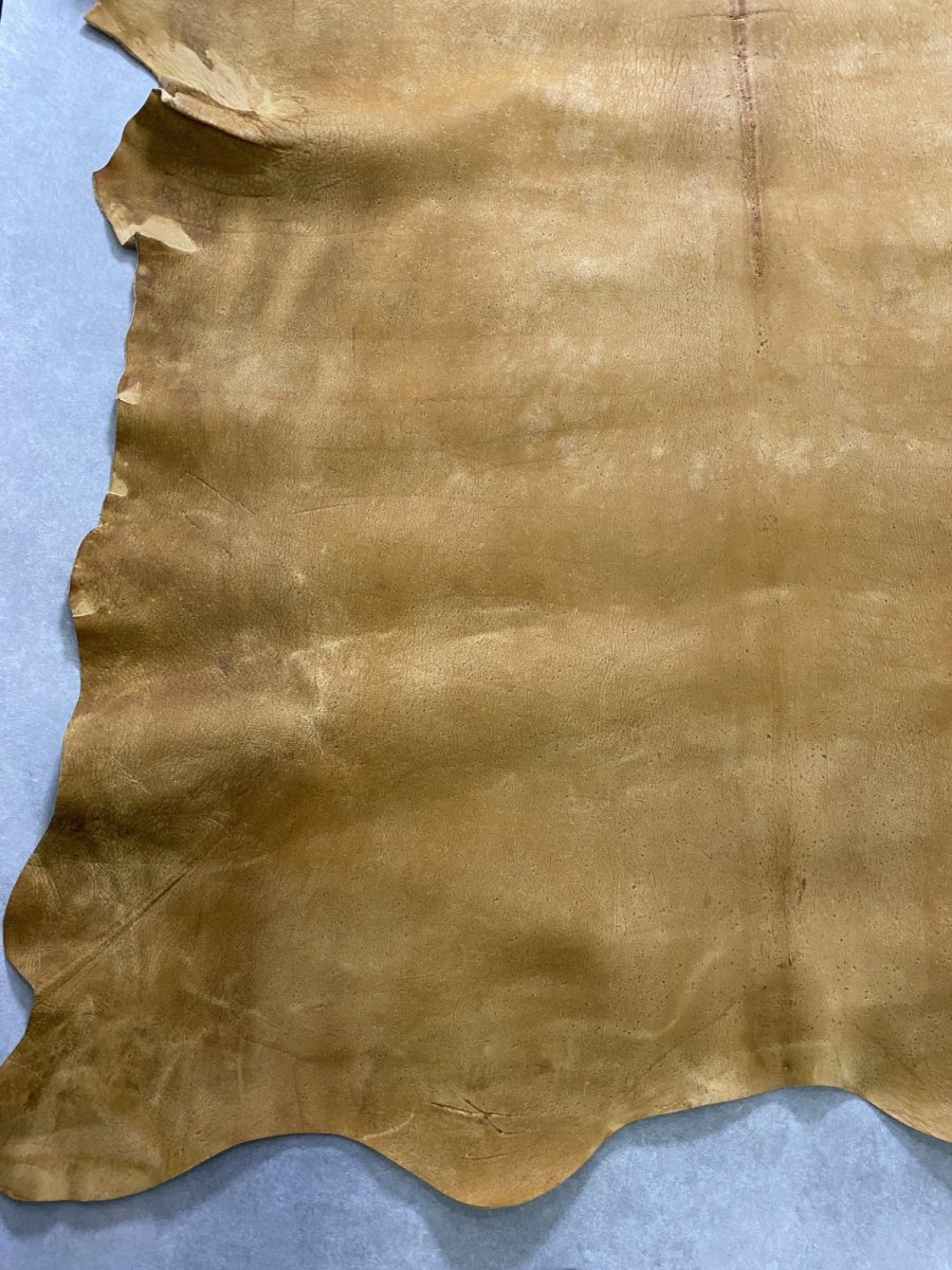 画像5: クードゥー　イエロー　クーズー　KUDU (5)