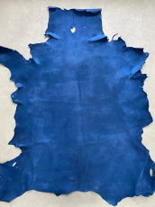 画像1: クードゥー　ブルー　クーズー　KUDU (1)