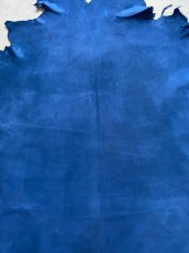 画像2: クードゥー　ブルー　クーズー　KUDU (2)