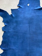 画像3: クードゥー　ブルー　クーズー　KUDU (3)