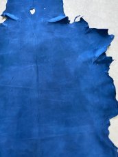 画像4: クードゥー　ブルー　クーズー　KUDU (4)