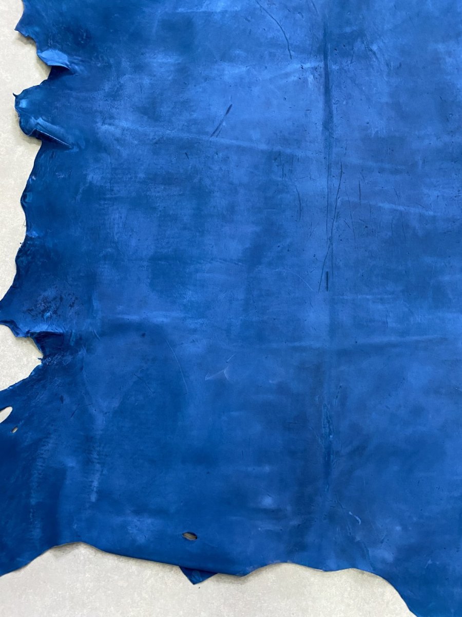 画像5: クードゥー　ブルー　クーズー　KUDU (5)