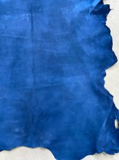 画像6: クードゥー　ブルー　クーズー　KUDU (6)