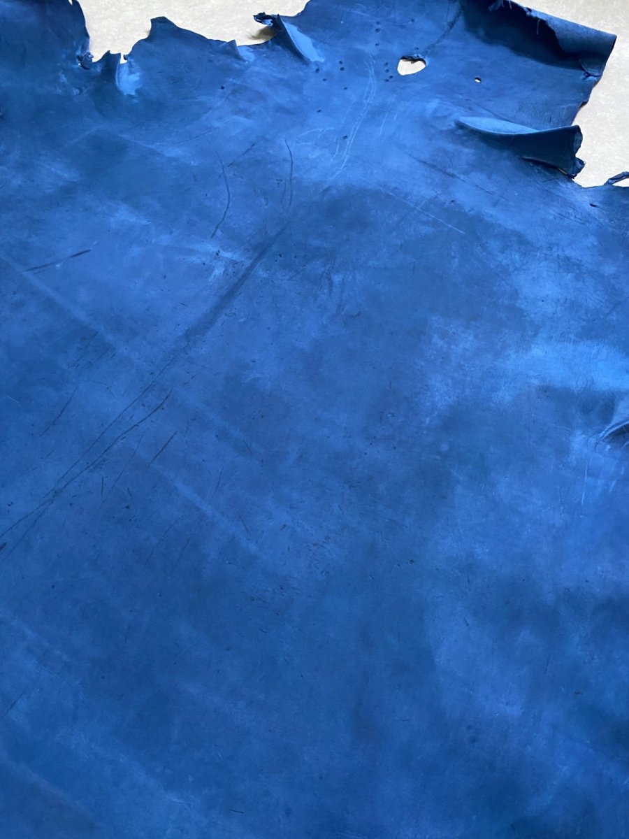 画像7: クードゥー　ブルー　クーズー　KUDU (7)