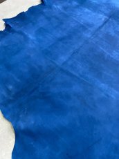 画像8: クードゥー　ブルー　クーズー　KUDU (8)