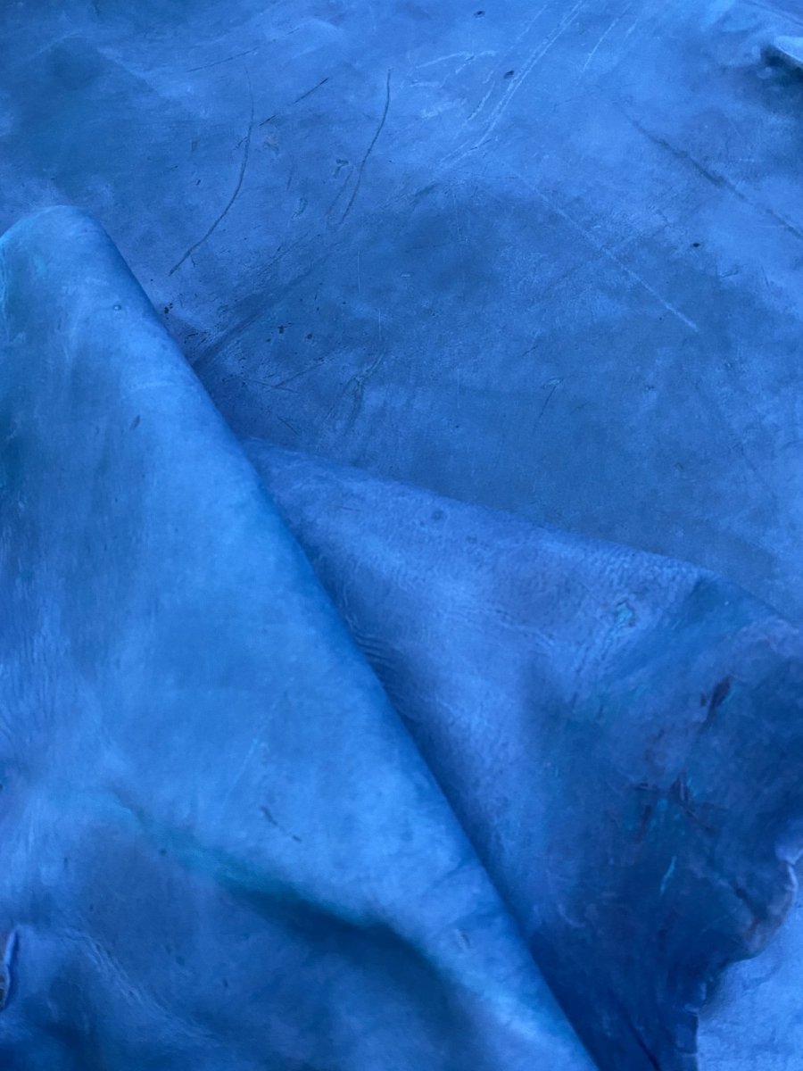 画像9: クードゥー　ブルー　クーズー　KUDU (9)