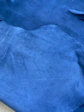 画像10: クードゥー　ブルー　クーズー　KUDU (10)