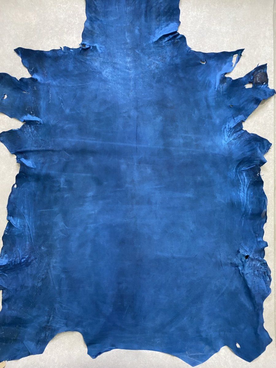 画像1: クードゥー　ブルー　クーズー　KUDU (1)