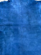 画像2: クードゥー　ブルー　クーズー　KUDU (2)