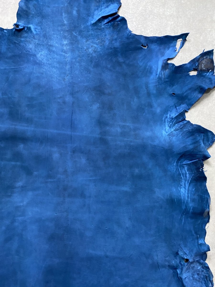 画像4: クードゥー　ブルー　クーズー　KUDU (4)