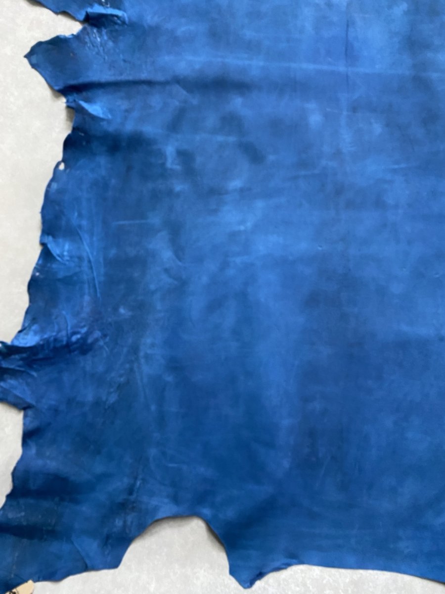 画像5: クードゥー　ブルー　クーズー　KUDU (5)