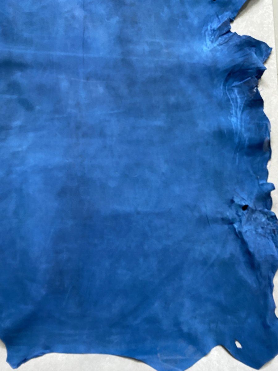 画像6: クードゥー　ブルー　クーズー　KUDU (6)