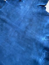 画像7: クードゥー　ブルー　クーズー　KUDU (7)