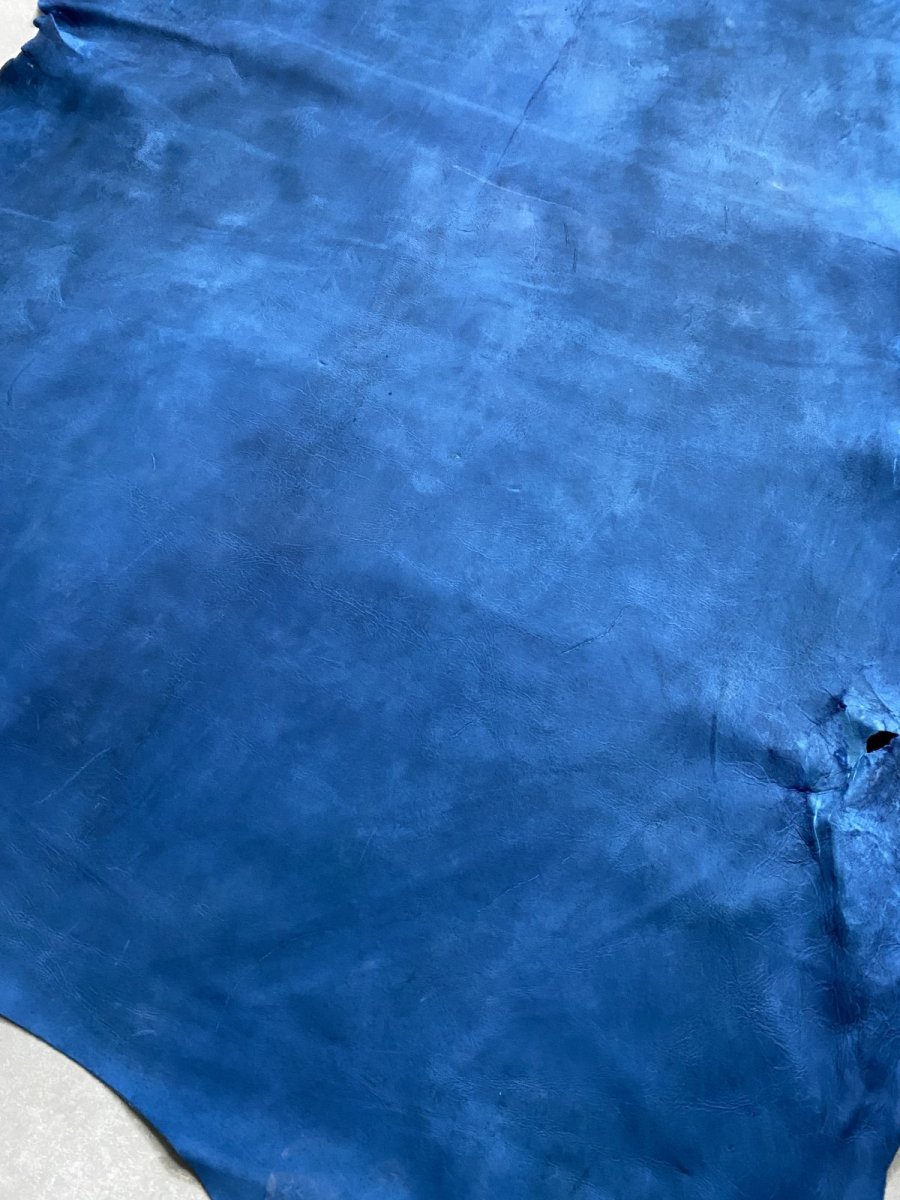 画像8: クードゥー　ブルー　クーズー　KUDU (8)